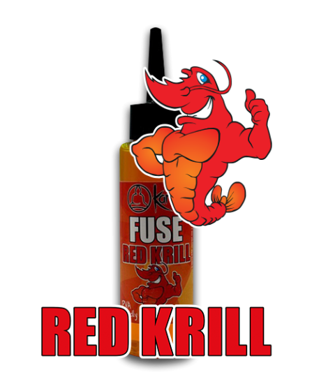 rkrill rkrill